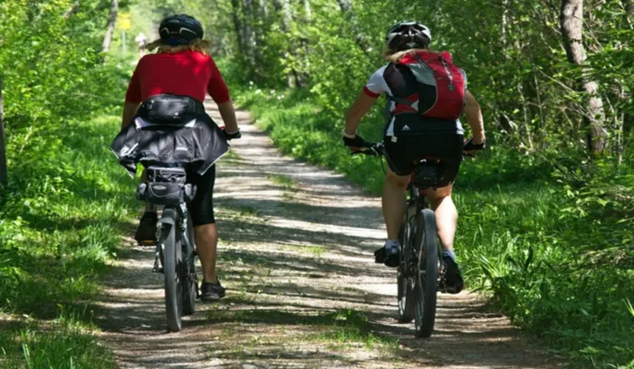Camping - Salavas - Rhône-Alpes - Le Casque Roi