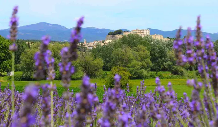 Camping - Grillon - Provence-Alpes-Côte d'Azur - Le Garrigon