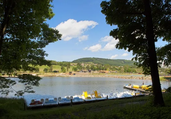 Camping - Cublize - Rhône-Alpes - Le Lac des Sapins