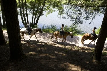 Camping - Cublize - Rhône-Alpes - Le Lac des Sapins