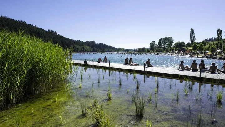Camping - Cublize - Rhône-Alpes - Le Lac des Sapins