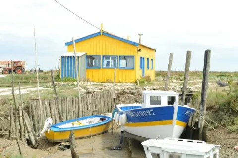 Camping - Le Grand-Village-Plage - Poitou-Charentes - Le Maine