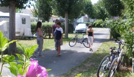 Camping - Le Grand-Village-Plage - Poitou-Charentes - Le Maine