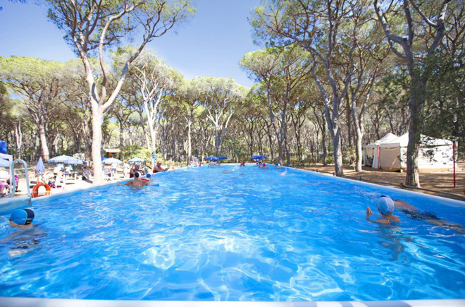 Camping Marina di Grosseto - 3 - campings