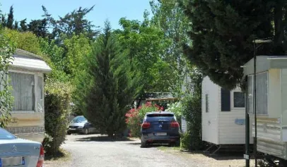 Camping - Lunel - Languedoc-Roussillon - Le Mas de L'Isle