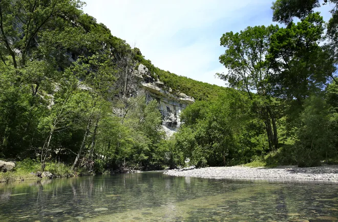 Camping - Saint-Thomé - Rhône-Alpes - Le Medieval