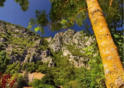 Camping - Saint-Martin-Lys - Languedoc-Roussillon - Le Moulin du Pont d'Aliès