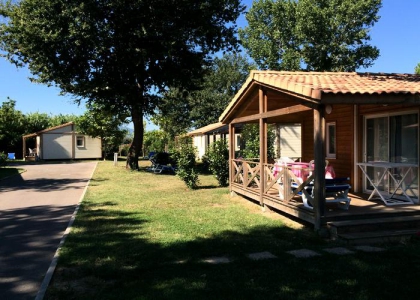 Camping - Argelès-sur-Mer - Languedoc-Roussillon - Le Méditerranée - Image #12