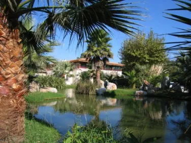 Camping - Argelès-sur-Mer - Languedoc-Roussillon - Le Méditerranée