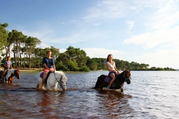 Camping - Carcans - Aquitaine - Le Paradis