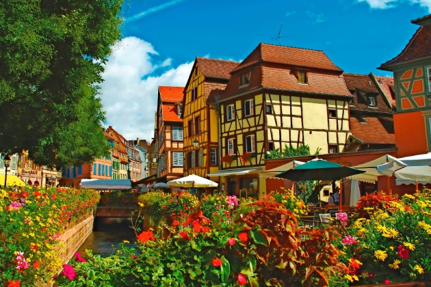 Camping - Munster - Alsace - Le Parc de la Fecht - Image #9