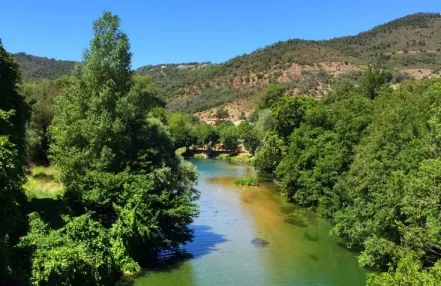 Camping - Auribeau-sur-Siagne - Provence-Alpes-Côte d'Azur - Le Parc des Monges