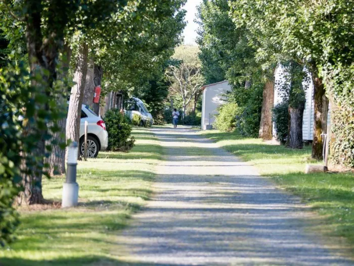 Camping - La Mothe-Achard - Pays de Loire - Le Pavillon
