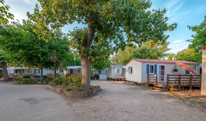 Camping - Vias - Languedoc-Roussillon - Le Petit Mousse - Image #9