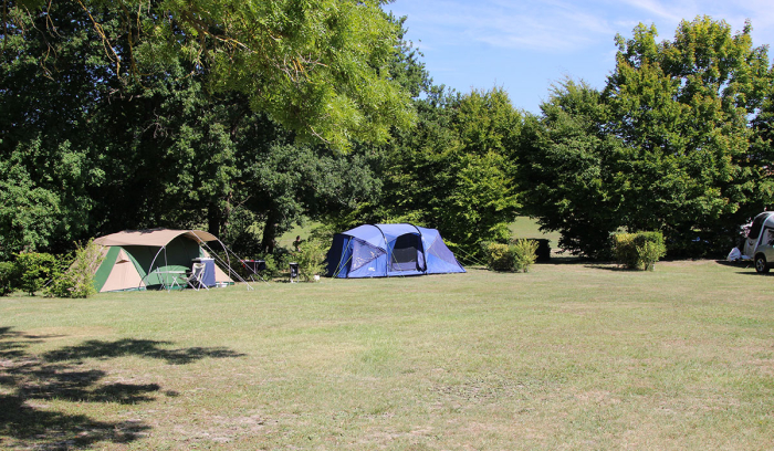 Camping - Ingrandes - Poitou-Charentes - Le Petit Trianon - Image #17