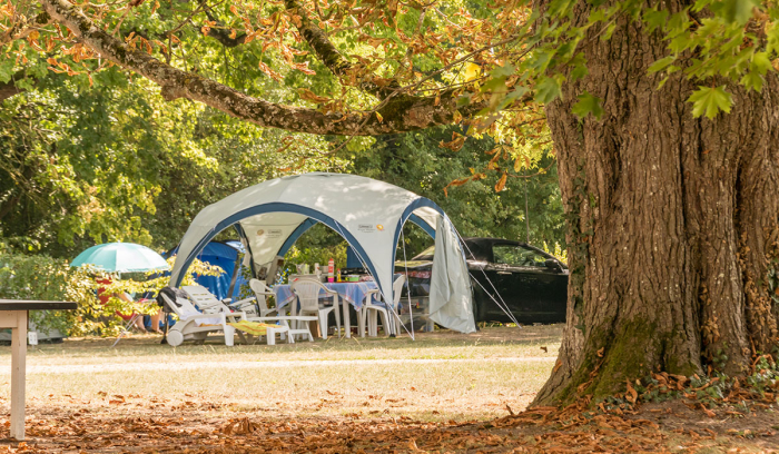 Camping - Ingrandes - Poitou-Charentes - Le Petit Trianon - Image #7