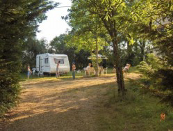 Camping Le Petit Villars - Champignelles