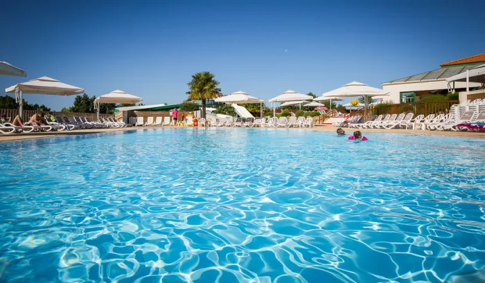 Camping - La Chapelle Hermier - Pays de Loire - Le Pin Parasol
