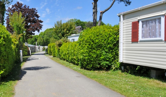 Camping - Clohars-Carnoët - Bretagne - Le Quinquis - Image #3