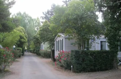 Camping - Montblanc - Languedoc-Roussillon - Le Rebau