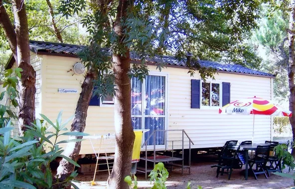 Camping - Saint-André - Languedoc-Roussillon - Le Saint Andre