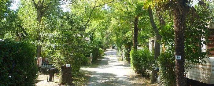 Camping - Céret - Languedoc-Roussillon - Le Saint Martin