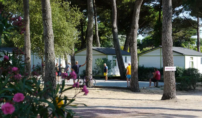 Camping - Le Bois-Plage-en-Ré - Poitou-Charentes - Le Suroît