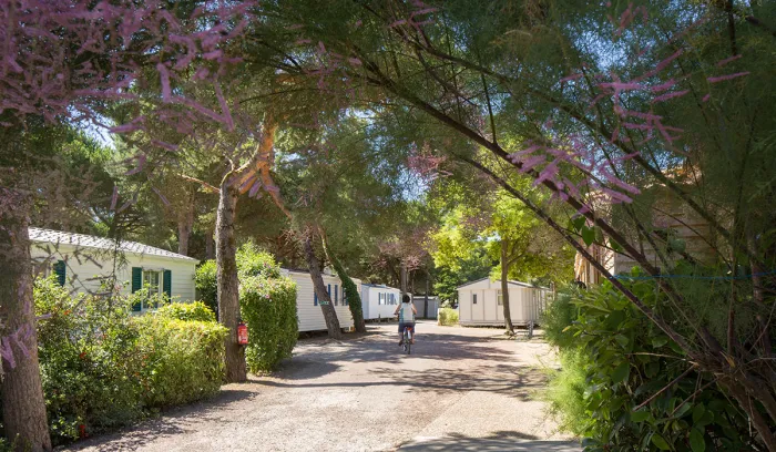 Camping - Le Bois-Plage-en-Ré - Poitou-Charentes - Le Suroît