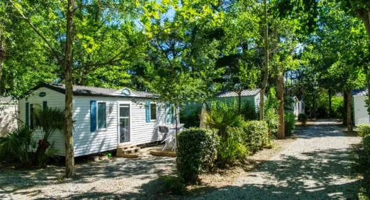 Camping - Argelès-sur-Mer - Languedoc-Roussillon - Le Texas