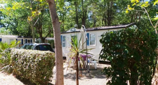 Camping - Argelès-sur-Mer - Languedoc-Roussillon - Le Texas