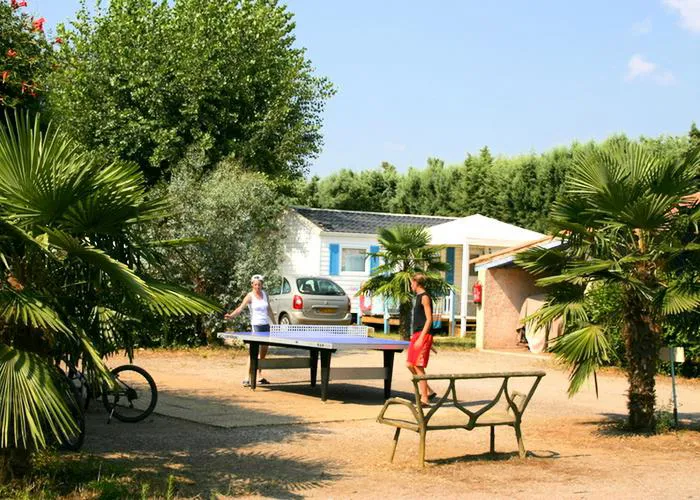 Camping - Roquebrune-sur Argens - Provence-Alpes-Côte d'Azur - Le Vaudois