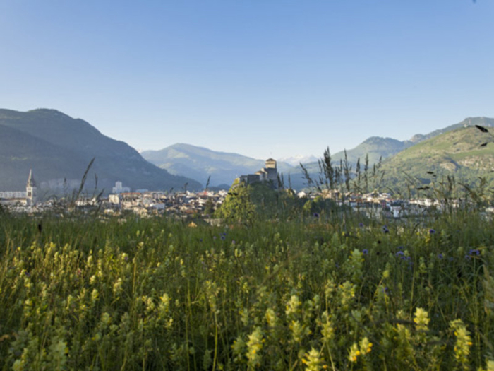 Le Vieux Berger - Midi-Pyrénées - Lourdes - 500€/sem