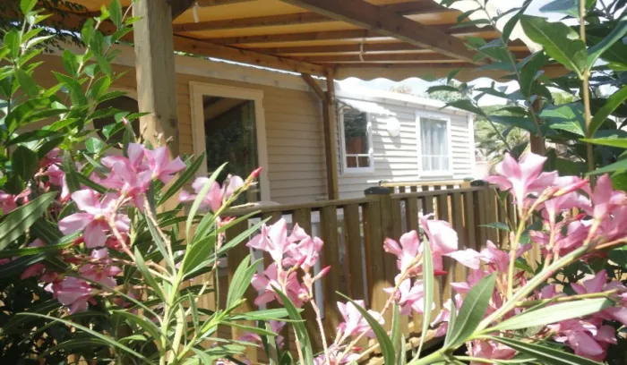 Camping - Fréjus - Provence-Alpes-Côte d'Azur - Les Acacias