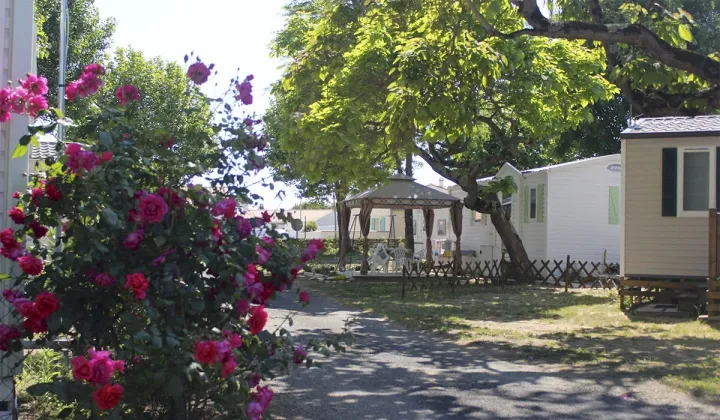 Camping - Rivedoux-Plage - Poitou-Charentes - Les Acacias