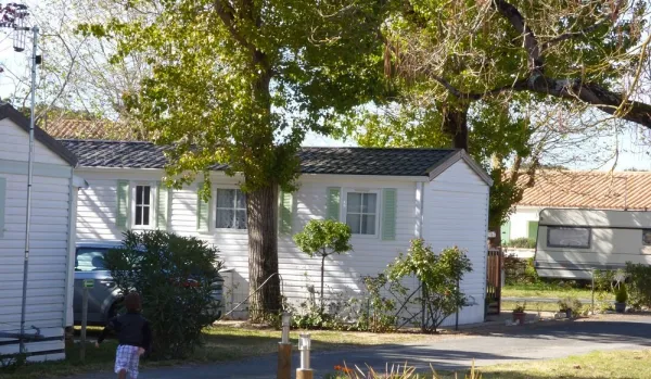 Camping - Rivedoux-Plage - Poitou-Charentes - Les Acacias