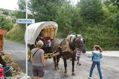 Camping - Saint-Cirgues-en-Montagne - Rhône-Alpes - Les Airelles