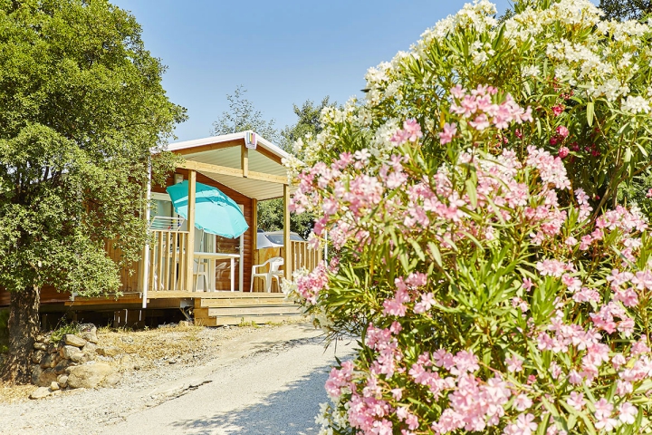 Camping - Laroque-des-Albères - Languedoc-Roussillon - Les Albères - Image #10