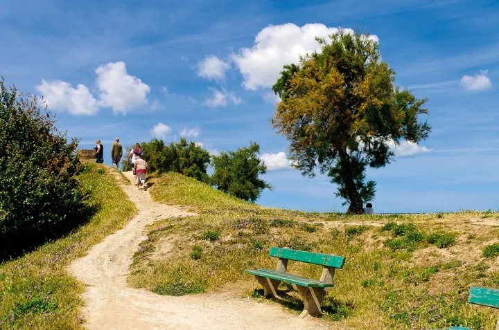 Camping - Le Bois-Plage-en-Ré - Poitou-Charentes - Les Amis de la Plage