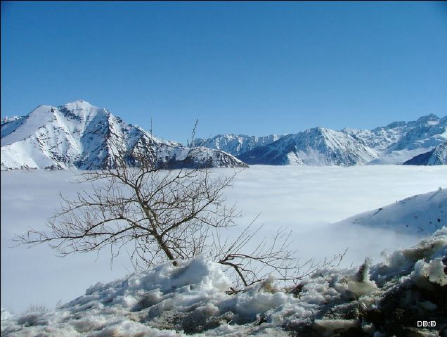 Camping - Luz-Saint-Sauveur - Midi-Pyrénées - Les Cascades