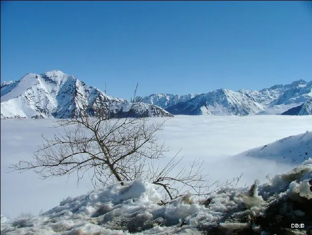 Camping - Luz-Saint-Sauveur - Midi-Pyrénées - Les Cascades