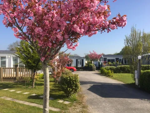 Camping - Verton - Nord-Pas de Calais - Les Cerisiers