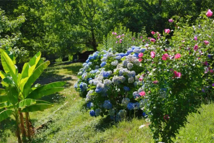 Camping - La Bastide Clairence - Aquitaine - Les Chalets De Pierretoun