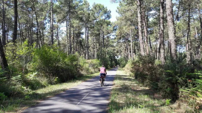 Camping - Moliets-et-Maa - Aquitaine - Les Cigales