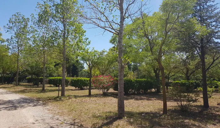 Camping - Saint-André-de-Sangonis - Languedoc-Roussillon - Les Cottages de Saint André