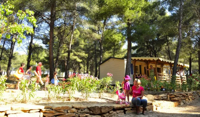 Camping - Saint-Cyr-sur-Mer - Provence-Alpes-Côte d'Azur - Les Dauphins