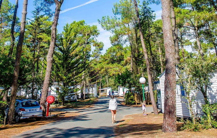 Camping - Longeville sur Mer - Pays de Loire - Les Dunes - Image #4