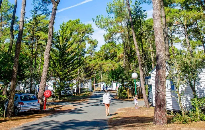 Camping - Longeville sur Mer - Pays de Loire - Les Dunes