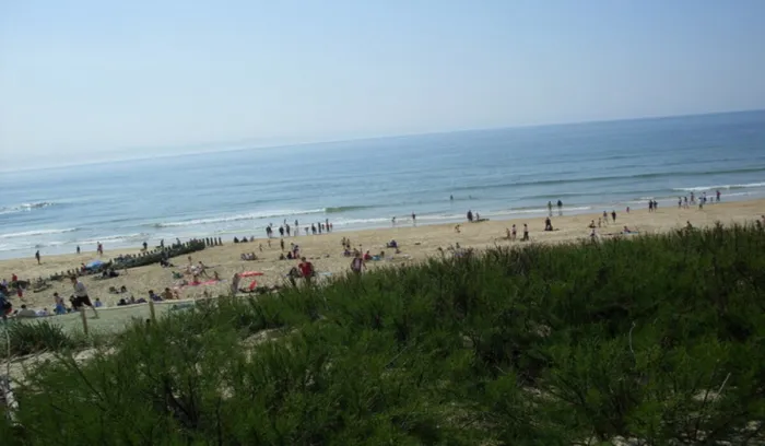 Camping - Gastes - Aquitaine - Les Echasses