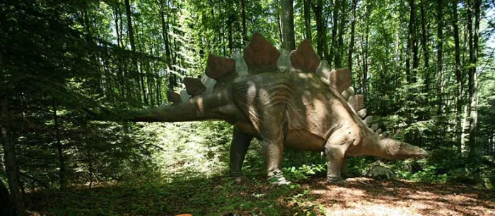 Camping - Réclère - Espace Mittelland - Les Grottes