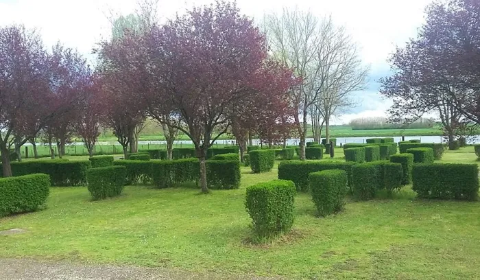 Camping - Saint-Jean-de-Losne - Bourgogne - Les Herlequins